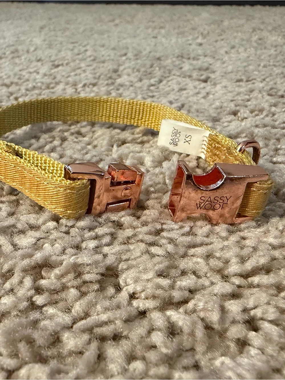 Sassy Woof Sunflower Fields Dog Collar with Rose Gold Buckle - XS